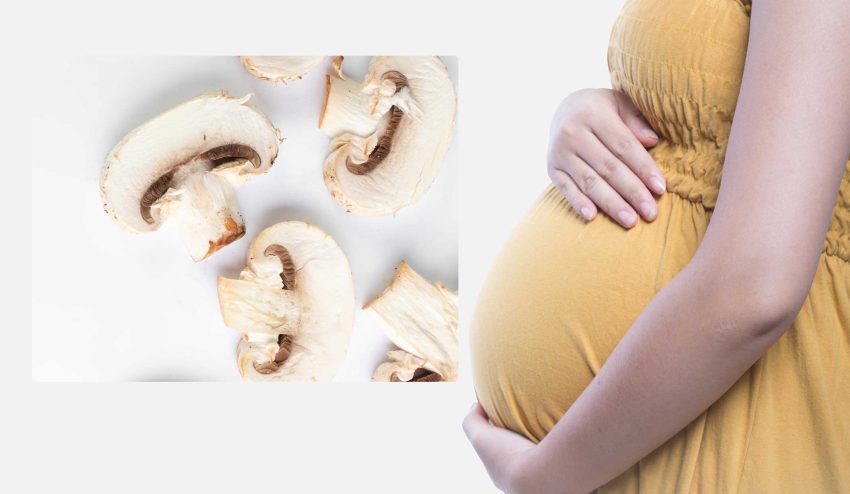 Hamilelikte Mantar Yemek Zararlı mı? 